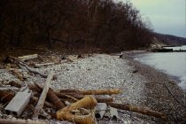View north along the beach